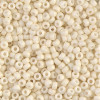 시드비즈 3mm #2021번 - 100g(약 4000개)