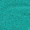 Delica Beads 1.6mm (#793) - 50g