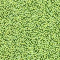 Delica Beads 1.6mm (#876) - 50g
