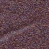 Delica Beads 1.6mm (#884) - 50g