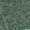 Delica Beads 1.6mm (#689) - 50g