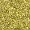 Delica Beads 1.6mm (#424) - 50g