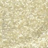 Delica Beads 1.6mm (#673) - 50g