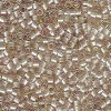 Delica Beads 1.6mm (#1766) - 50g