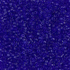 Delica Beads 1.6mm (#707) - 50g