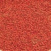 Delica Beads 1.6mm (#795) - 50g